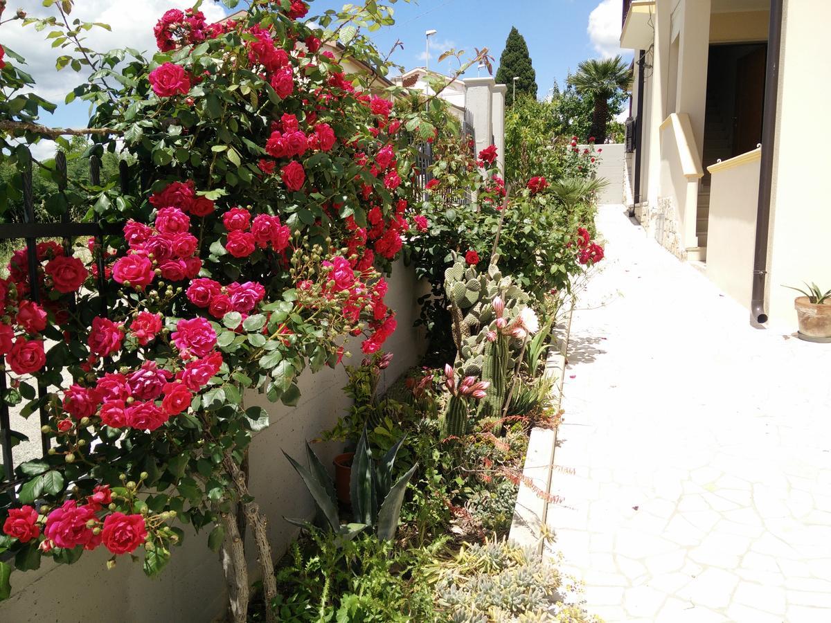 B&B Green Da Maria Matera Eksteriør bilde